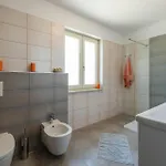 Pet Friendly In Barban
