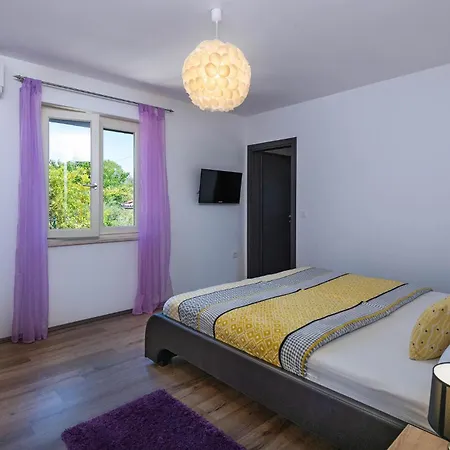 Pet Friendly In